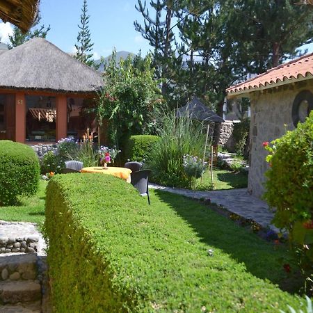 Miskiwasi Bed & Breakfast Yanque Exterior photo