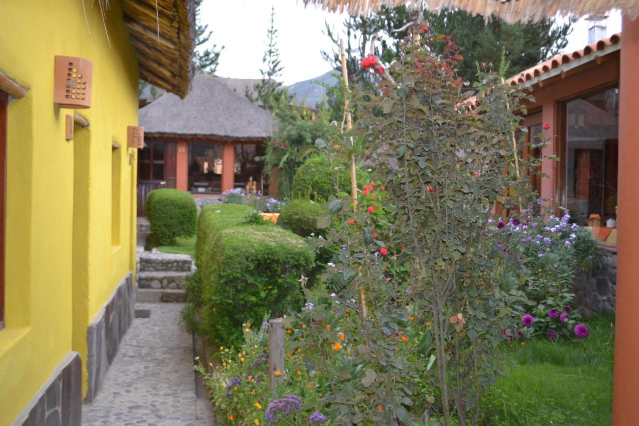 Miskiwasi Bed & Breakfast Yanque Exterior photo