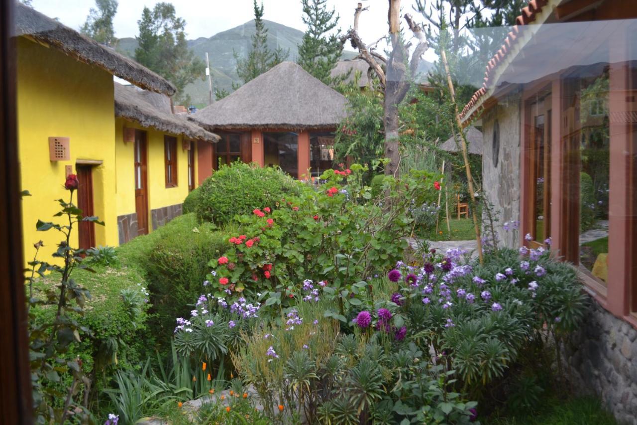 Miskiwasi Bed & Breakfast Yanque Exterior photo